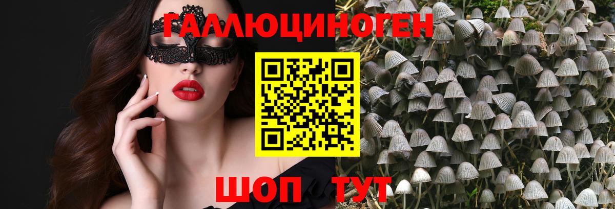 Бахчисарай  Псилоцибиновые грибы Psilocybe  Галлюциногенные грибы Magic Shrooms  закладка  Вход с VPN 